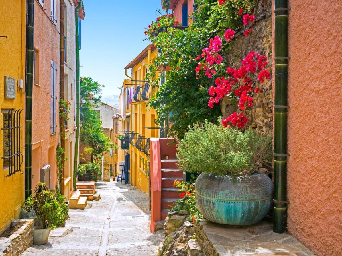 Apartment Les Roches Bleues-5 By Interhome Collioure Dış mekan fotoğraf